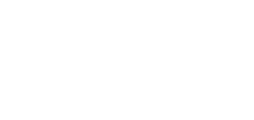 logo_gdpr_fff